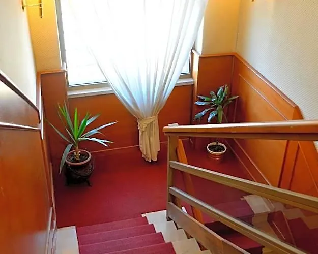 Hotel Shasa 3*
