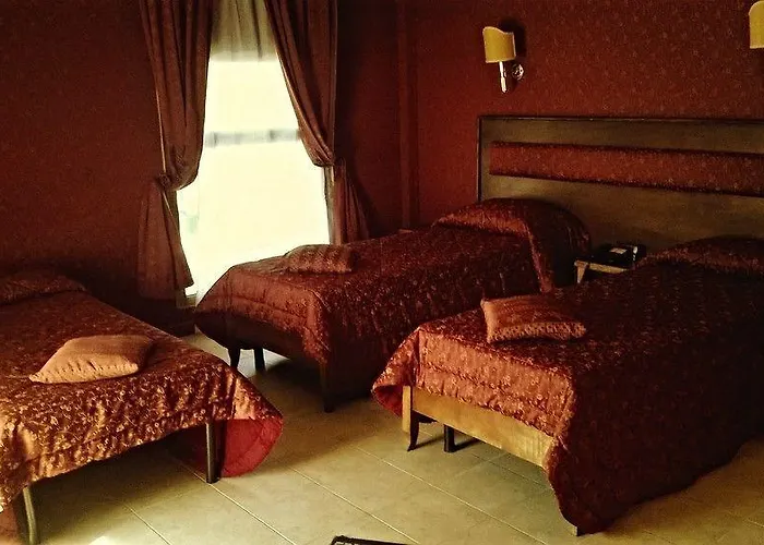 Hotel Shasa