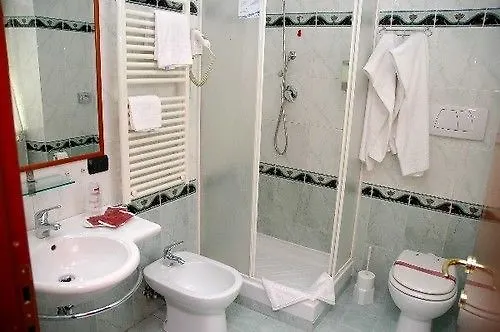 Hotel Shasa