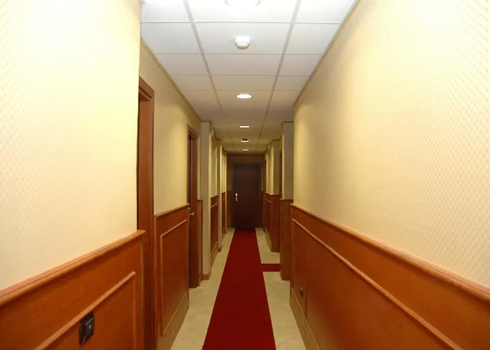 Hotel Shasa